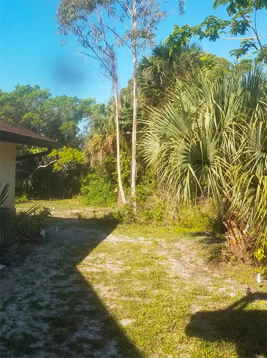 Fence Line Clearing