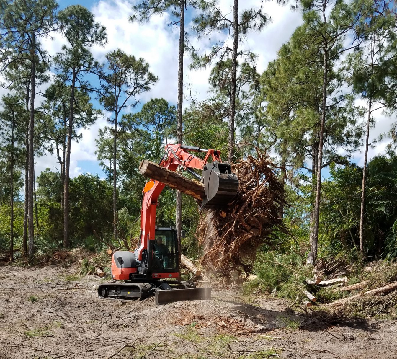 Site Preparation