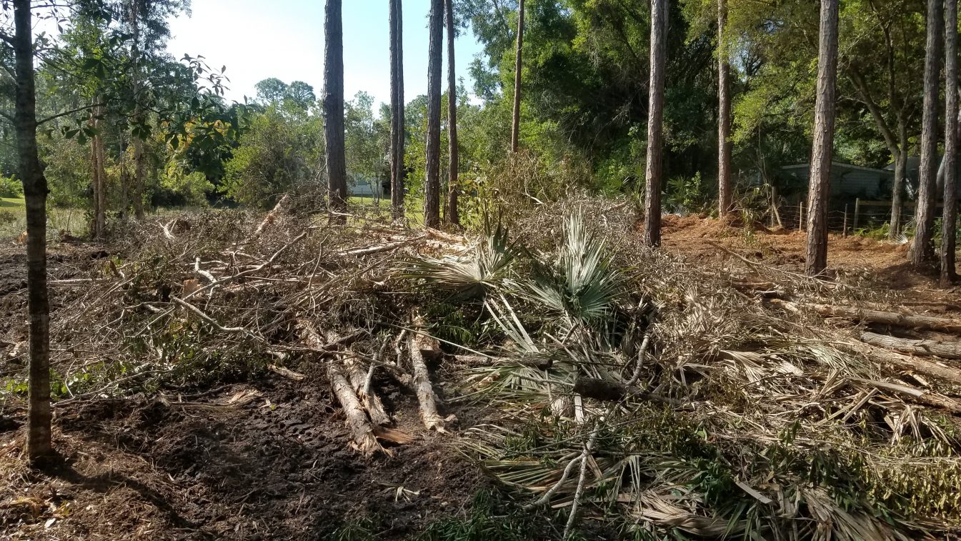 Storm Cleanup
