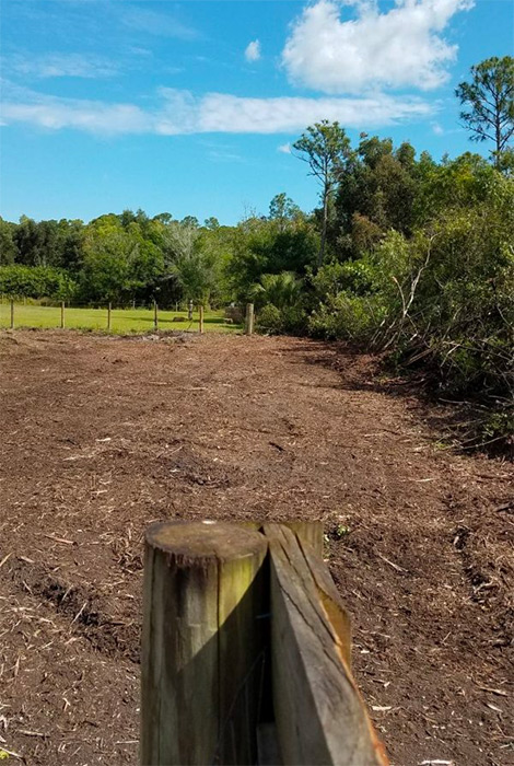 Fence Line Clearing