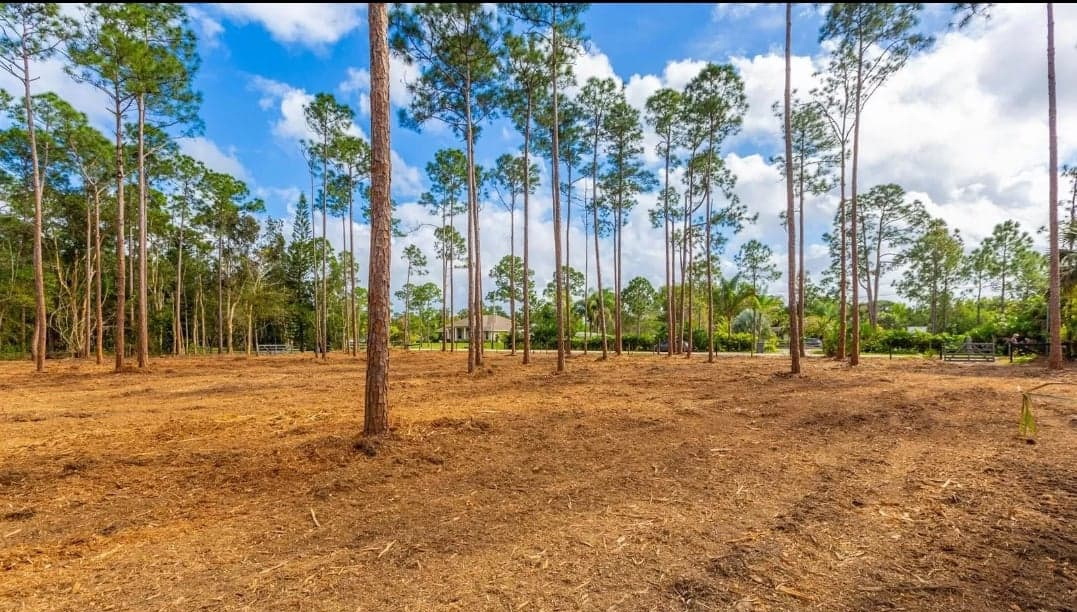 Forestry Mulching