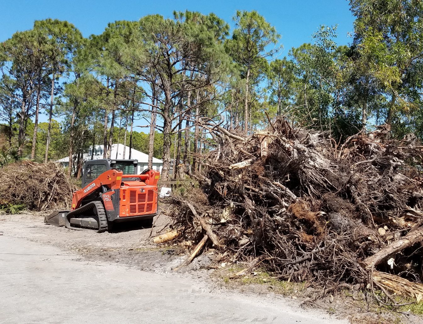 Storm Cleanup