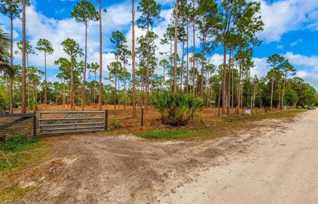 Forestry Mulching