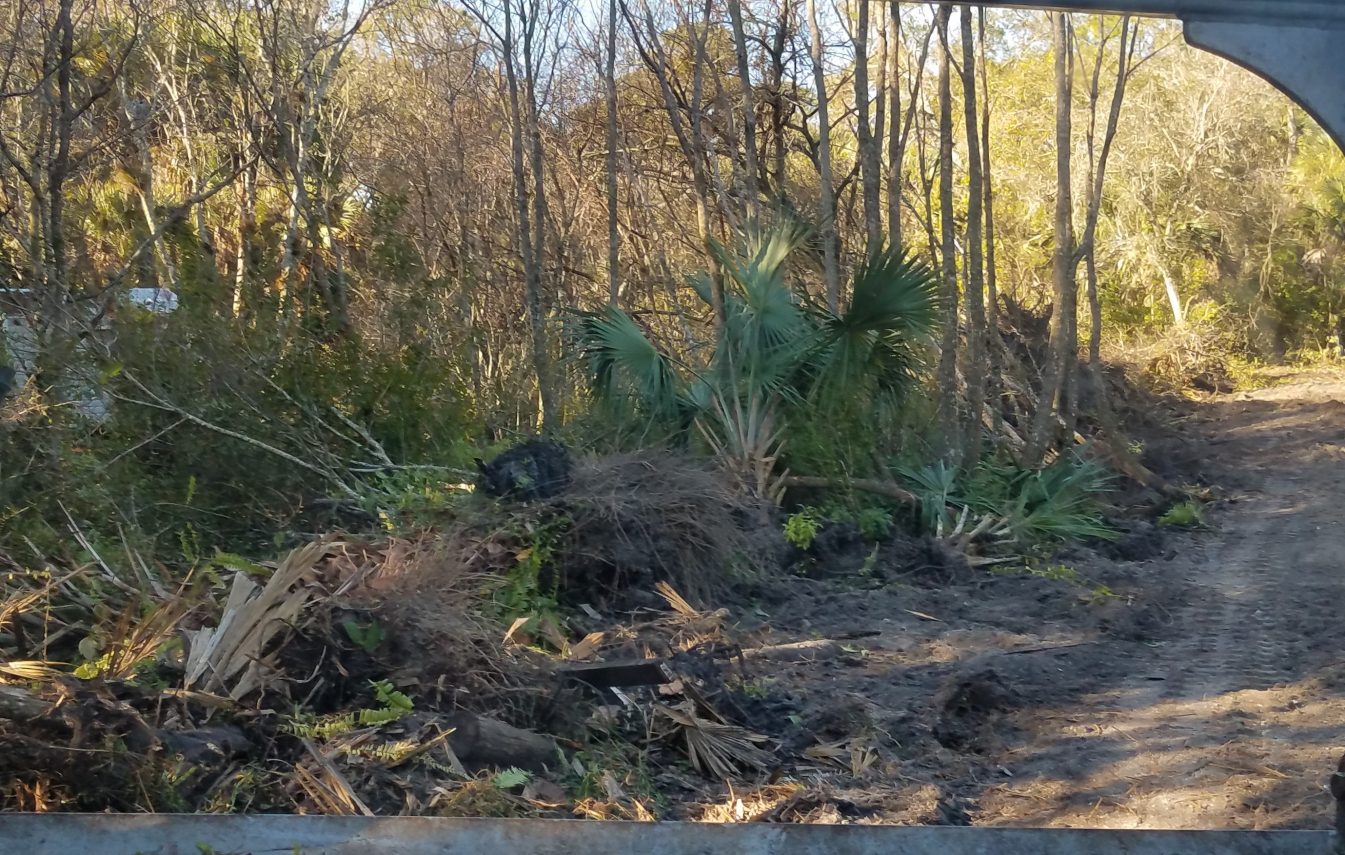 Debris Mulching