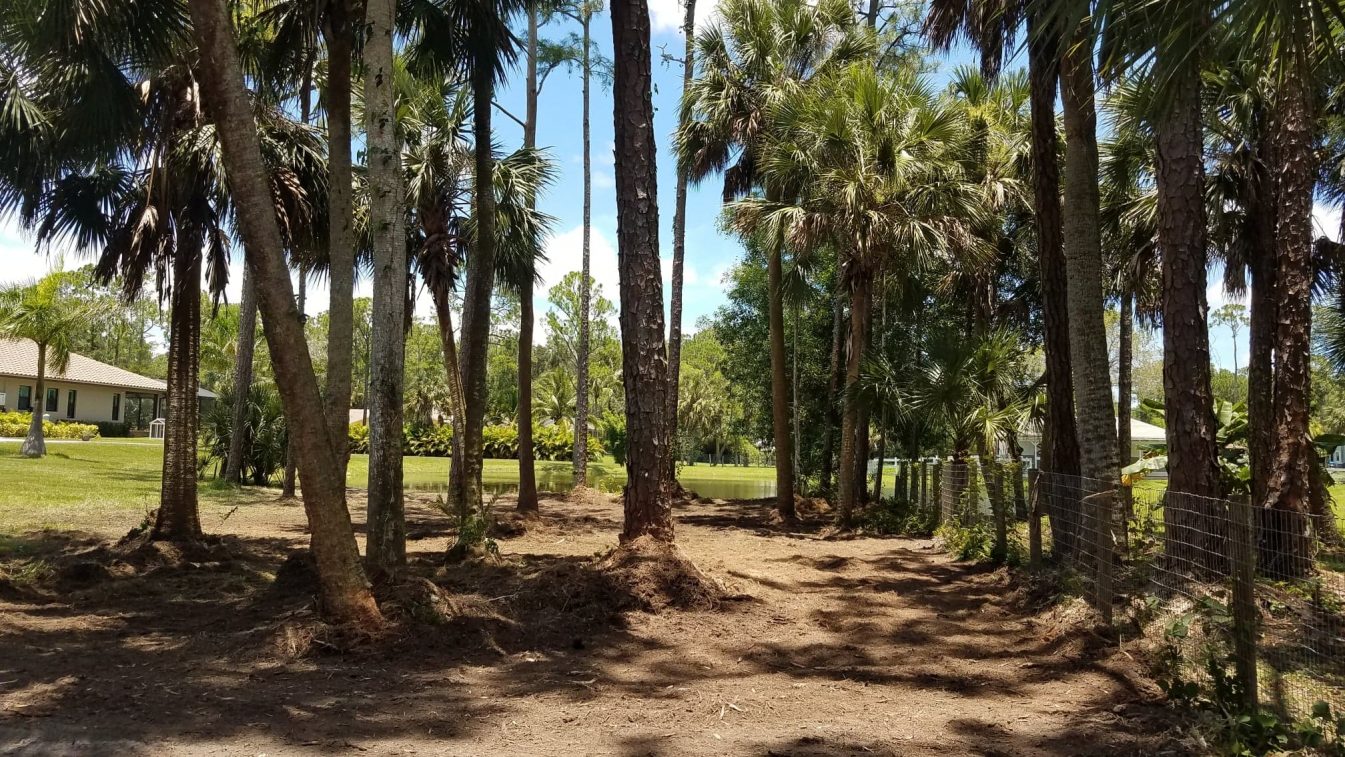 Fence Line Clearing