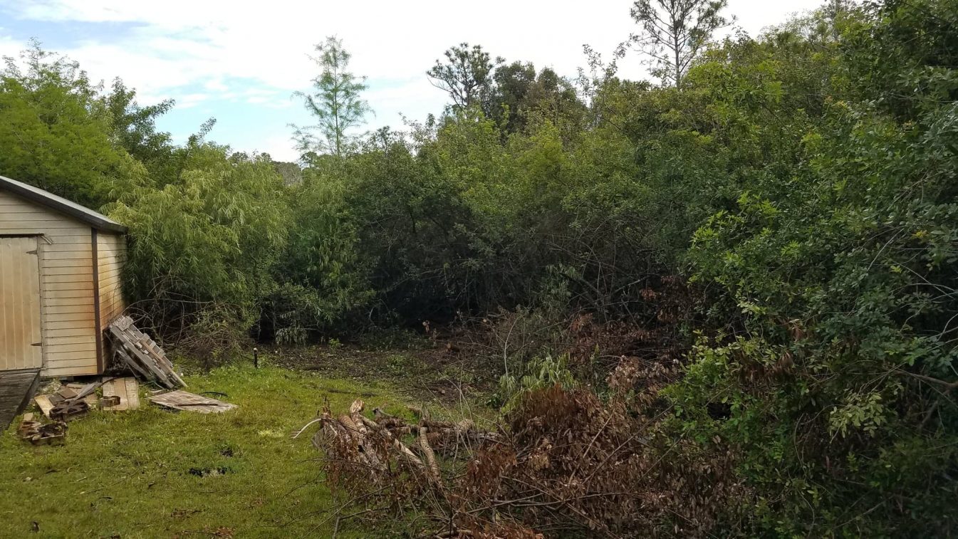 Fence Line Clearing