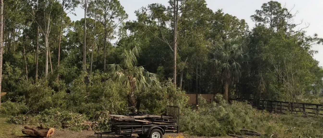 Land Clearing