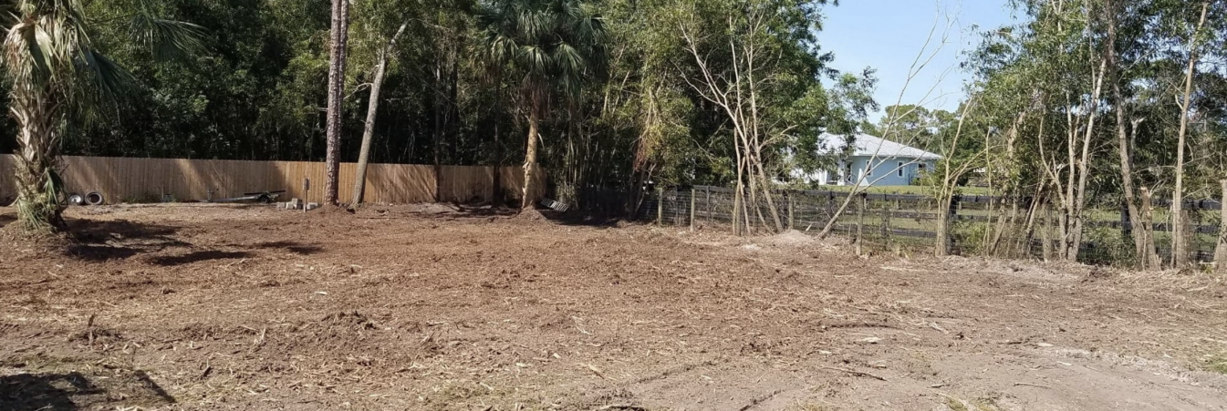 Land Clearing