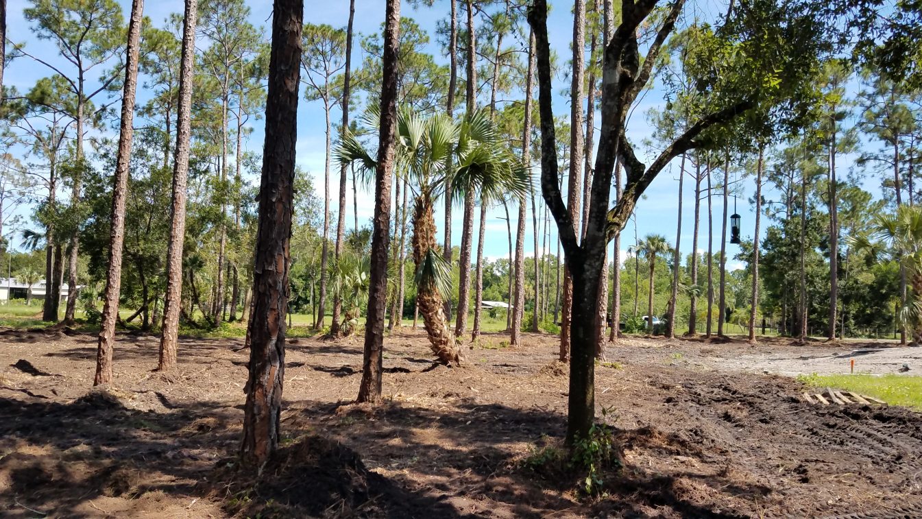 Land Clearing