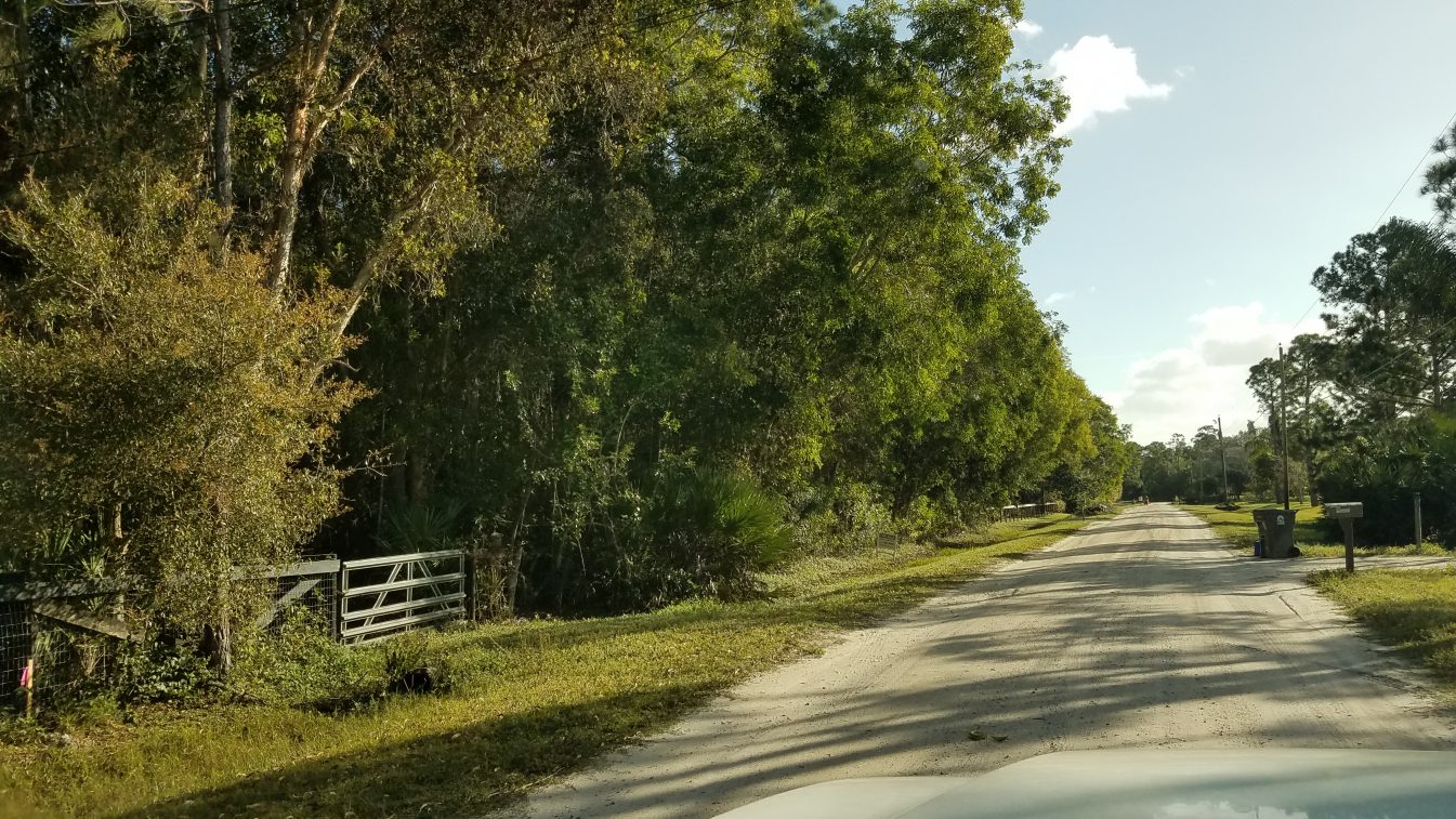 Land Clearing